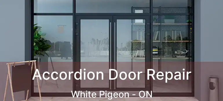  Accordion Door Repair White Pigeon - ON