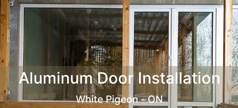  Aluminum Door Installation White Pigeon - ON