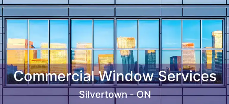  Commercial Window Services Silvertown - ON