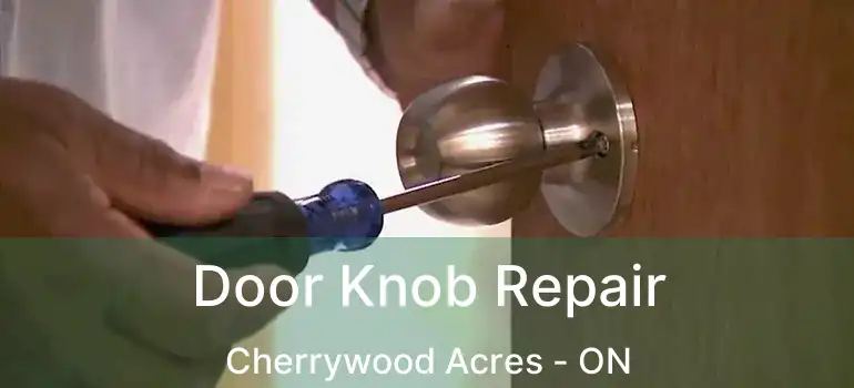  Door Knob Repair Cherrywood Acres - ON