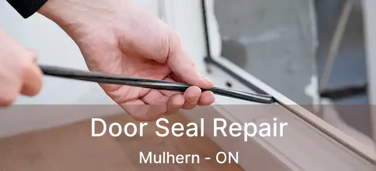  Door Seal Repair Mulhern - ON