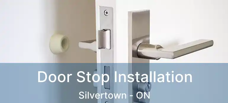 Door Stop Installation Silvertown - ON