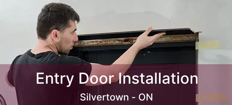  Entry Door Installation Silvertown - ON