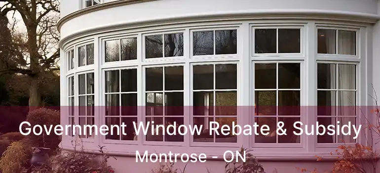  Government Window Rebate & Subsidy Montrose - ON