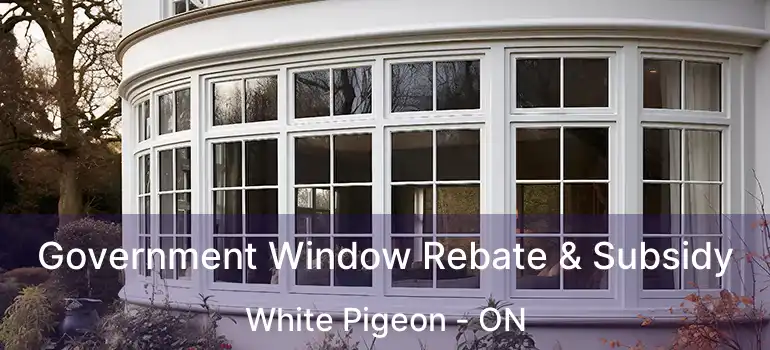  Government Window Rebate & Subsidy White Pigeon - ON