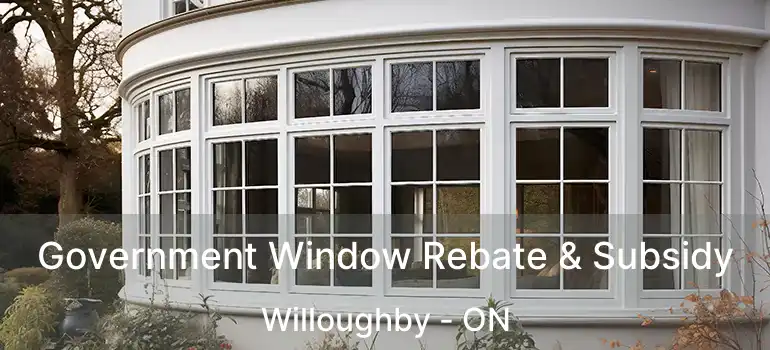  Government Window Rebate & Subsidy Willoughby - ON