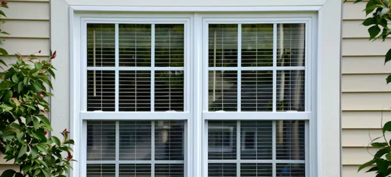 Custom Double Hung Windows in Stamford, Ontario
