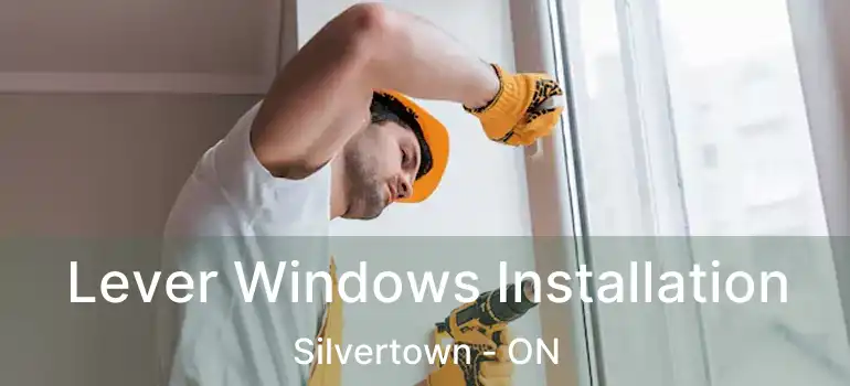  Lever Windows Installation Silvertown - ON