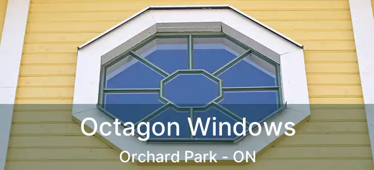  Octagon Windows Orchard Park - ON
