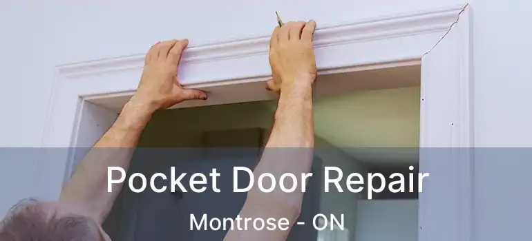  Pocket Door Repair Montrose - ON