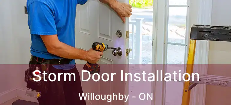  Storm Door Installation Willoughby - ON