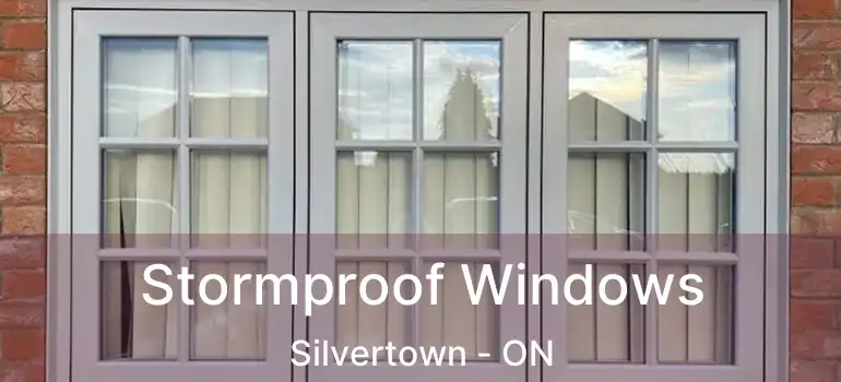  Stormproof Windows Silvertown - ON