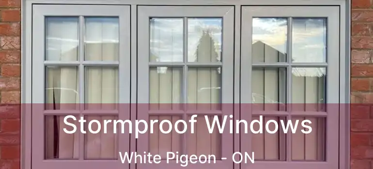  Stormproof Windows White Pigeon - ON
