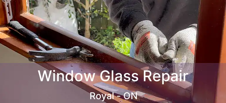  Window Glass Repair Royal - ON