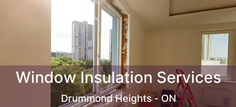  Window Insulation Services Drummond Heights - ON