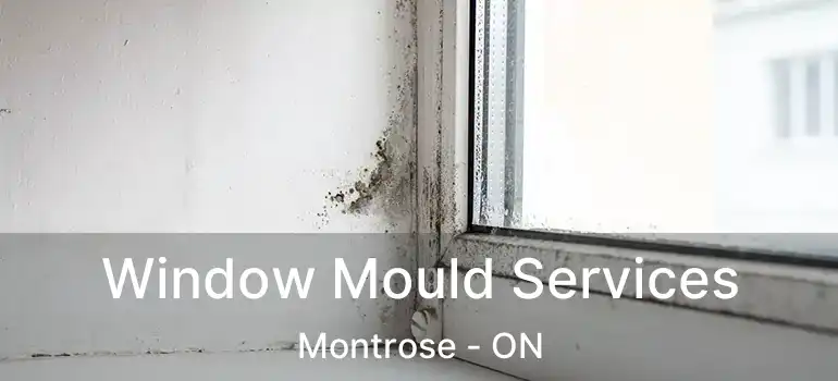  Window Mould Services Montrose - ON