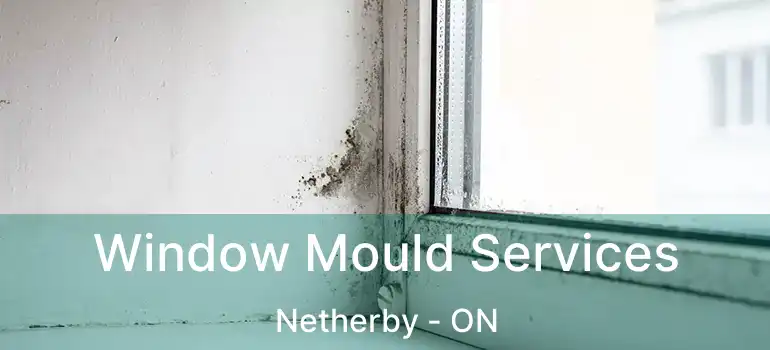  Window Mould Services Netherby - ON