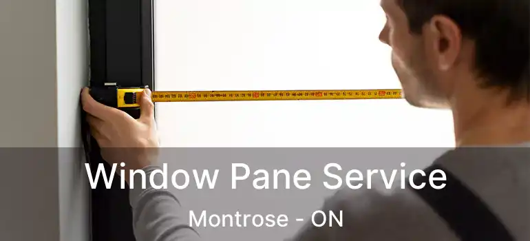  Window Pane Service Montrose - ON