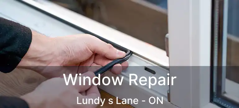  Window Repair Lundy s Lane - ON