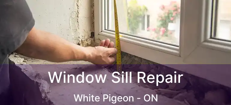  Window Sill Repair White Pigeon - ON