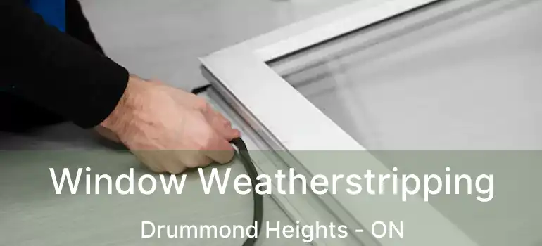  Window Weatherstripping Drummond Heights - ON